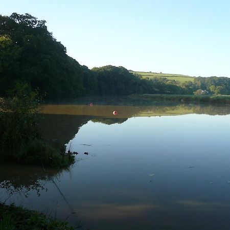 Rumleigh Farm Bere Alston Exteriör bild