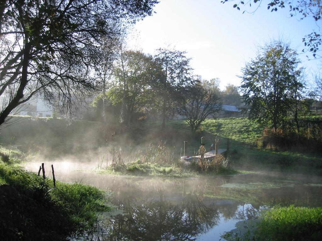 Rumleigh Farm Bere Alston Exteriör bild