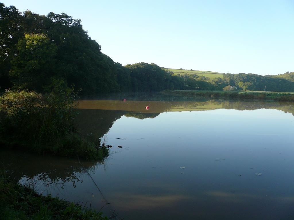 Rumleigh Farm Bere Alston Exteriör bild